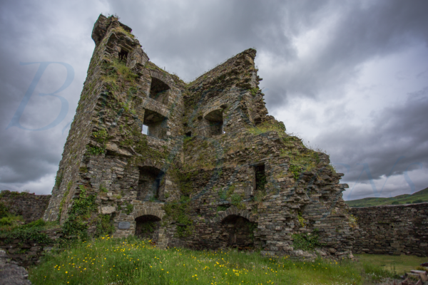 Castle Ruins